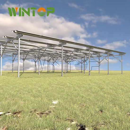 Staffe del produttore OEM Sistema di montaggio solare a terra Applicazioni Ssolar Farm 225W